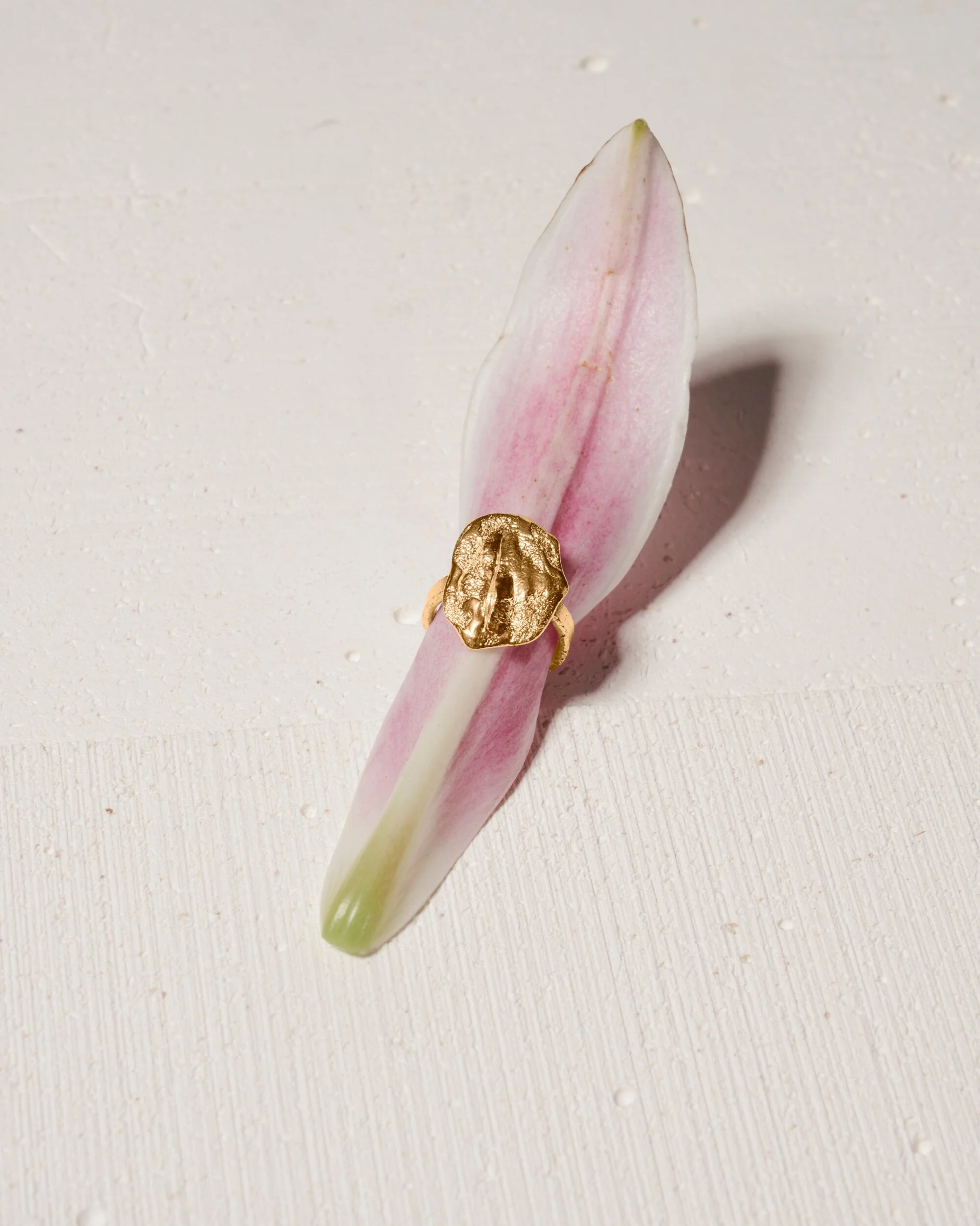 673EDD24-6475-4306-888A-C3C3C14B1322