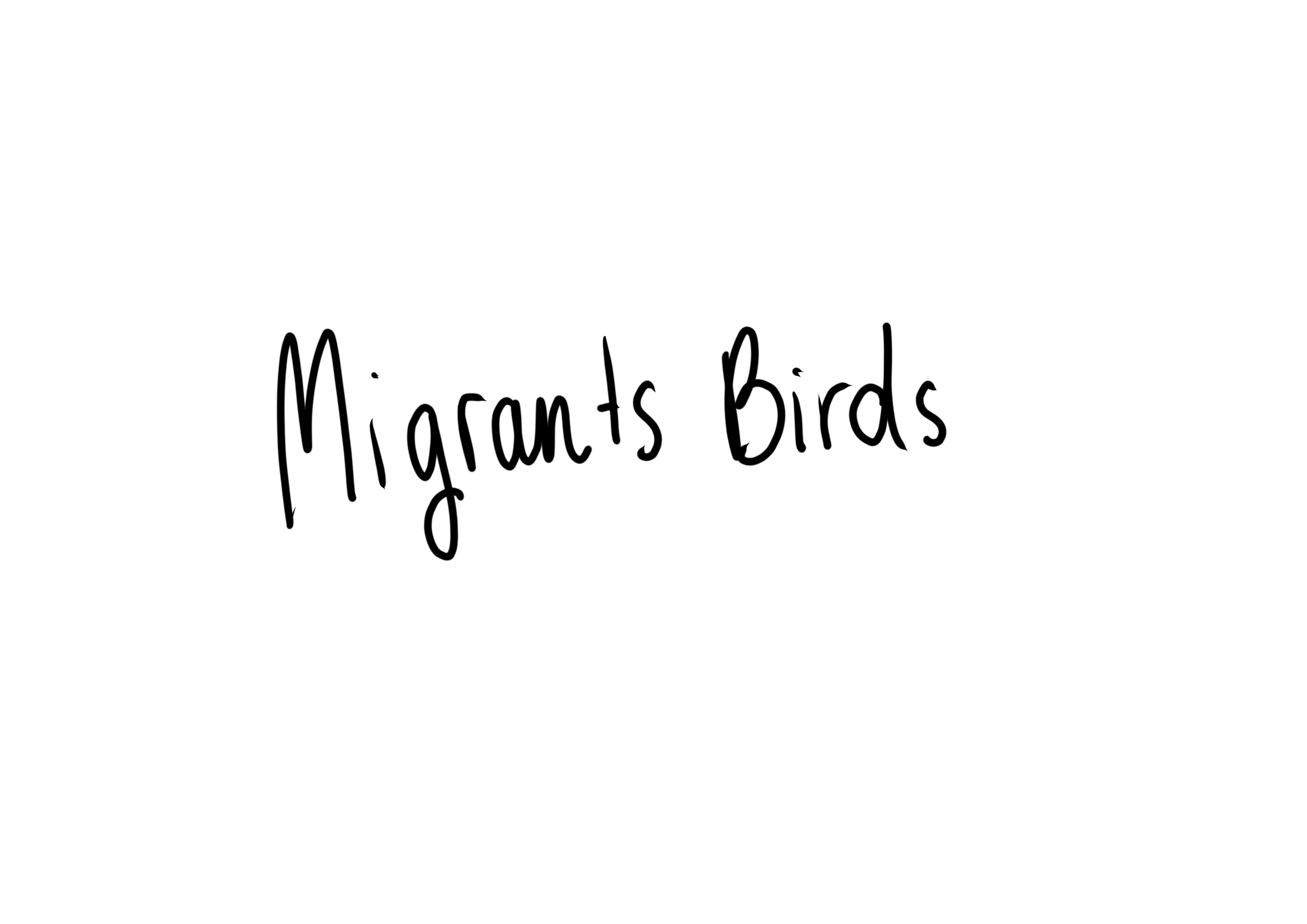 migrants_bird_32.jpg