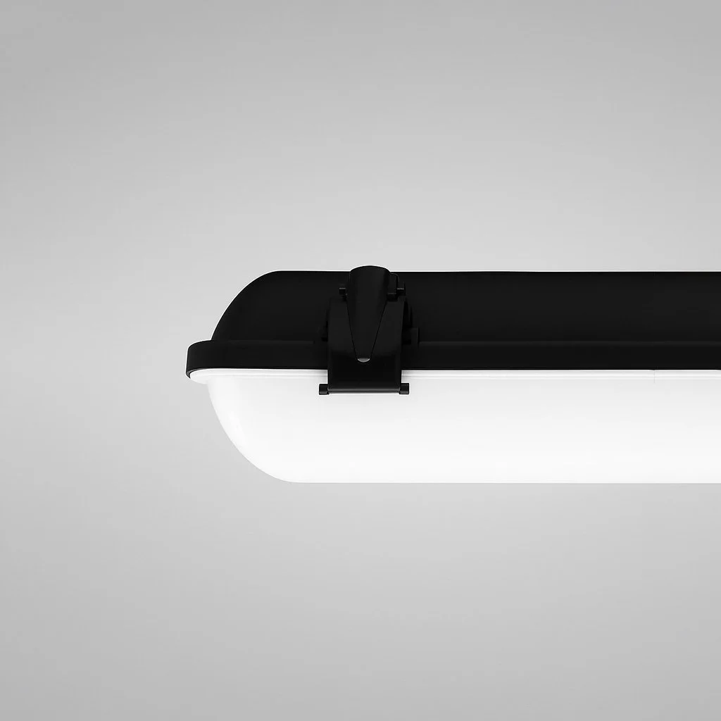 ORLWP4-image_updated.jpg
