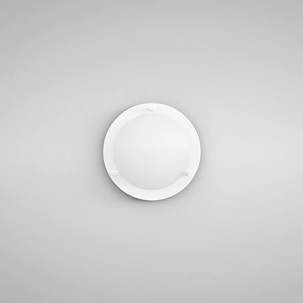 ORLL20-image.jpg