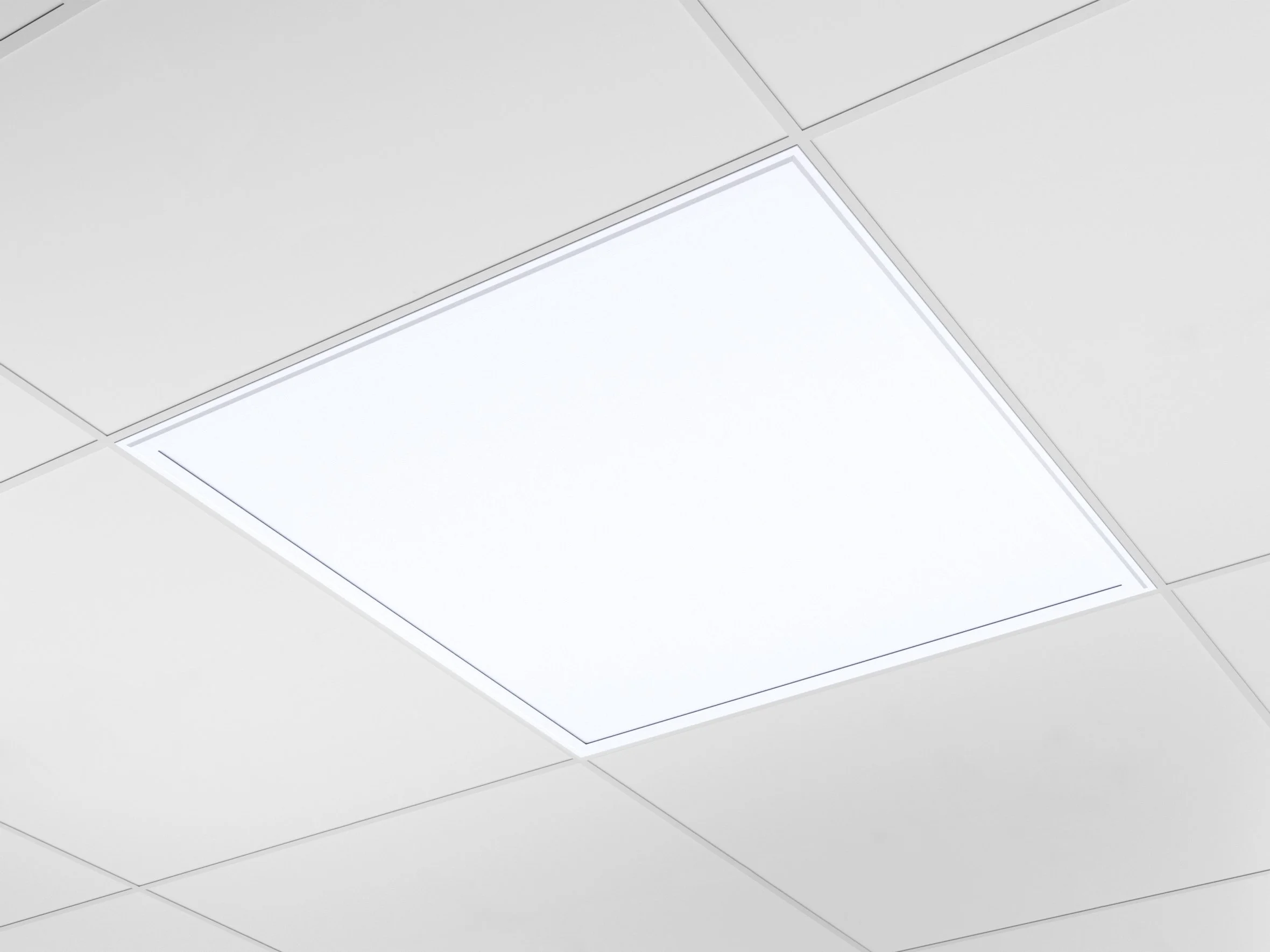 ORLLED600.jpg