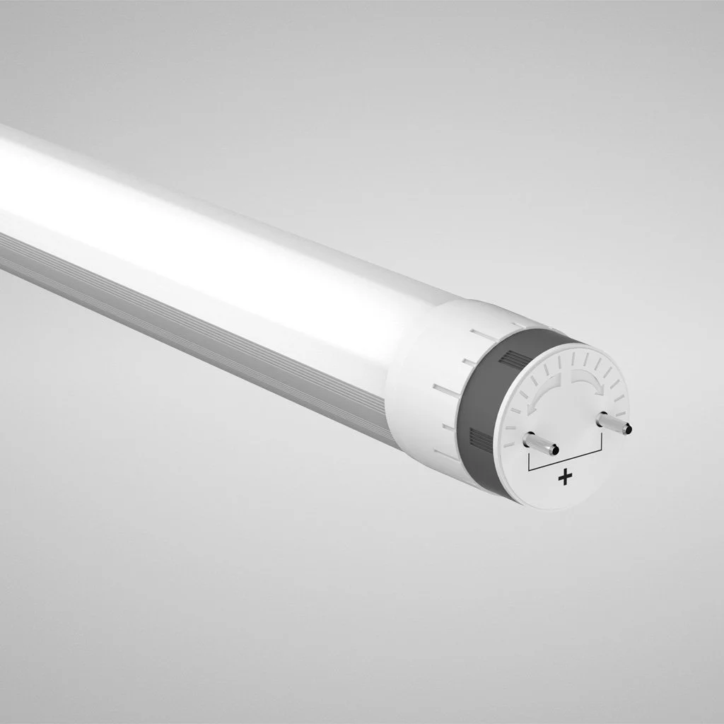 ORLWPLAMP_Image.jpg (Copy) (Copy)