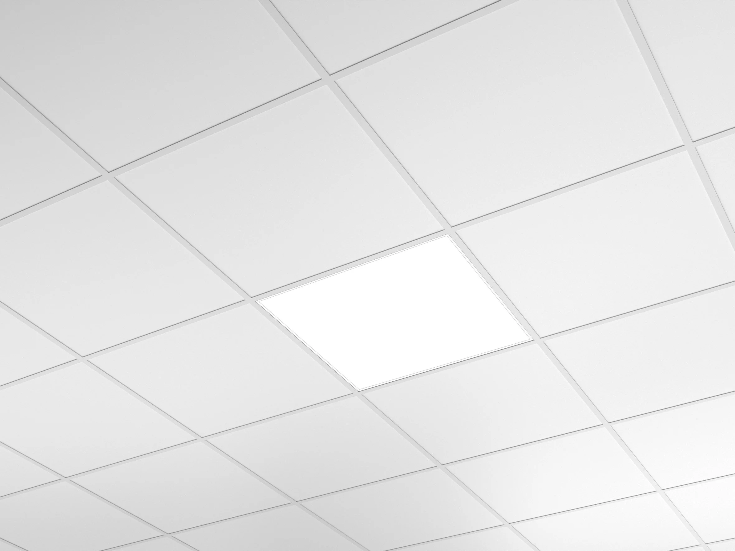 ORLLED300_IMAGE.jpg