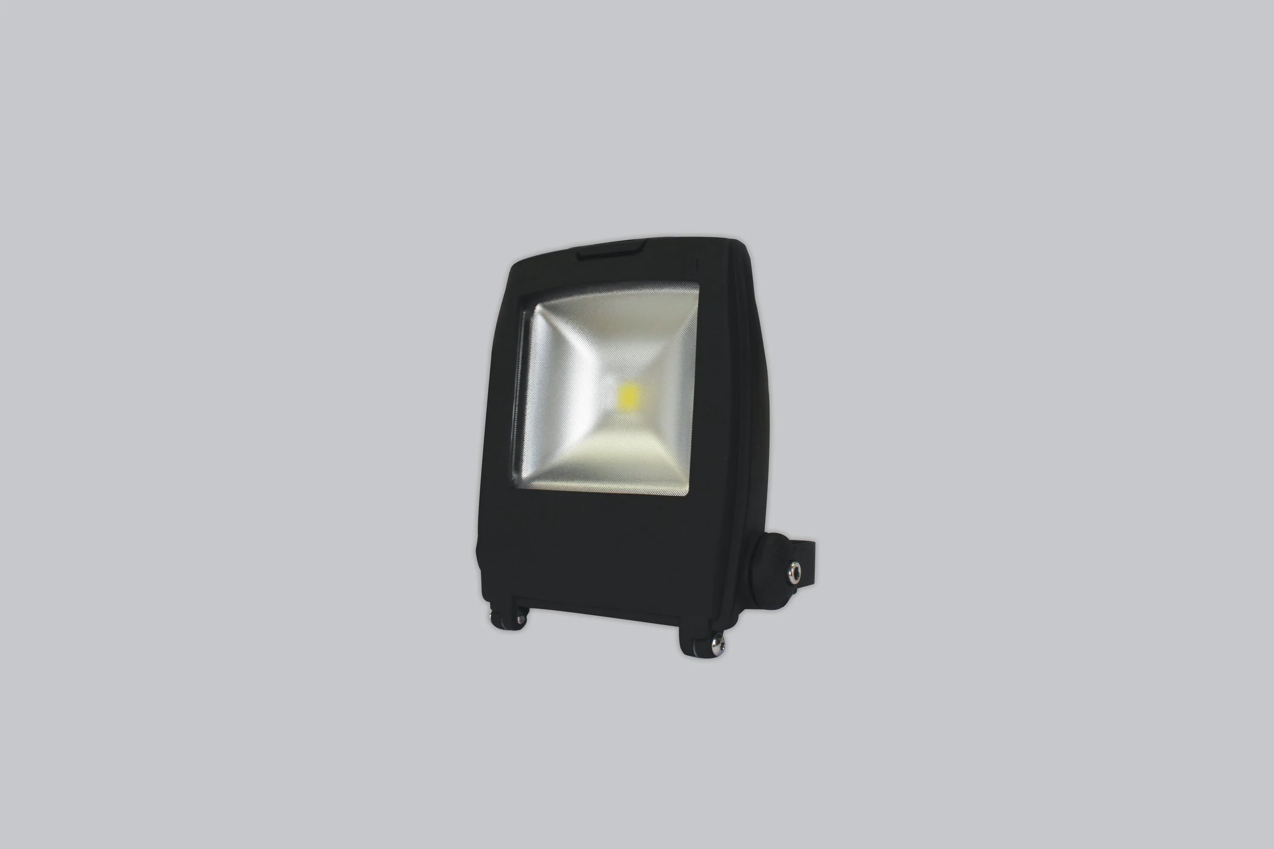 LEDFL12_IMAGE.jpg