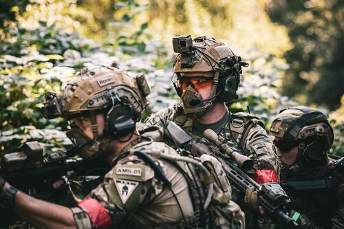 Mercenaries and War: Understanding Private Armies Today > National
