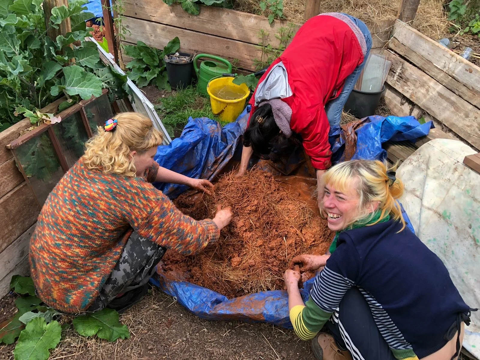Community Allotment News