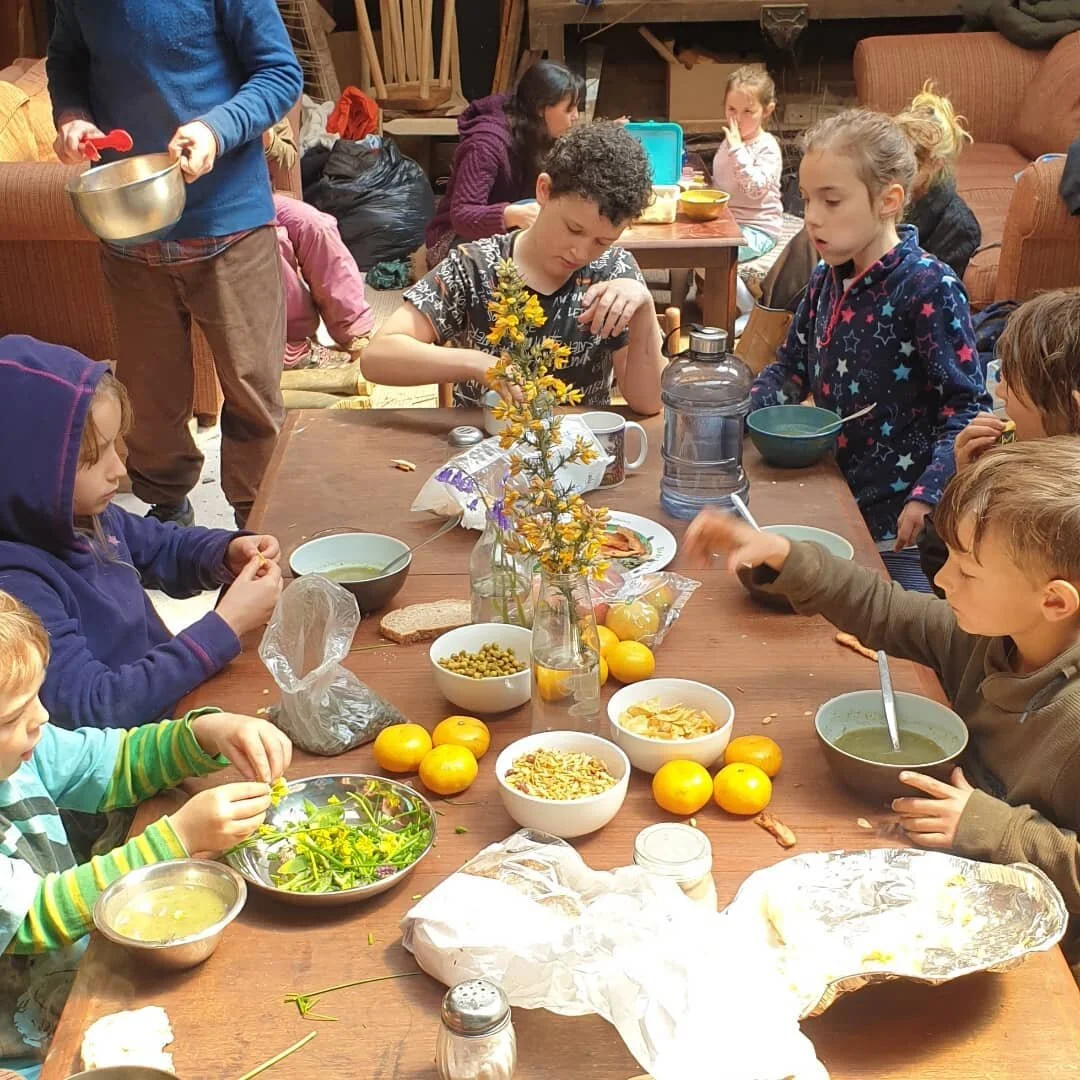 Home Education Group