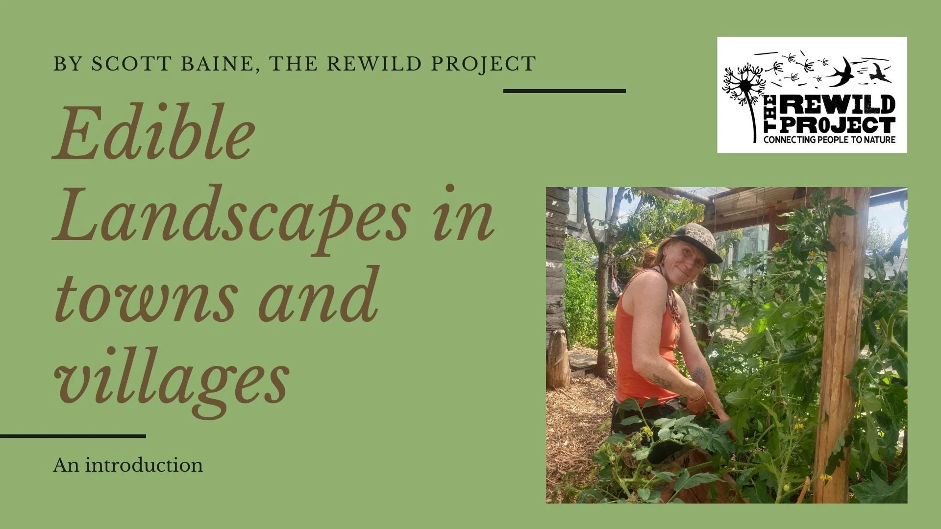 Forest of Dean Abundance Project