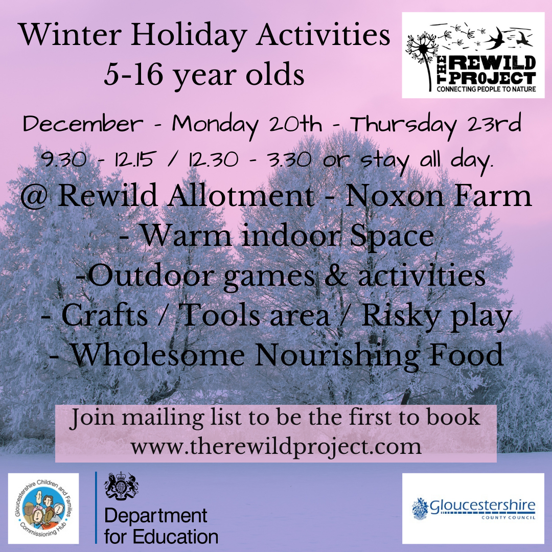 Holiday Activities Solstice / Winter Club