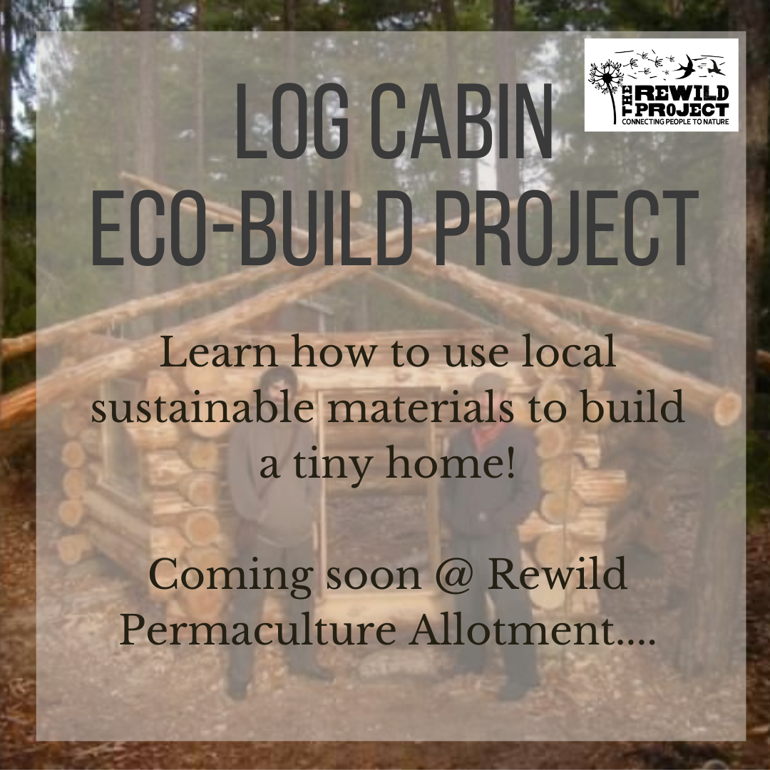 Log Cabin Eco Build Project