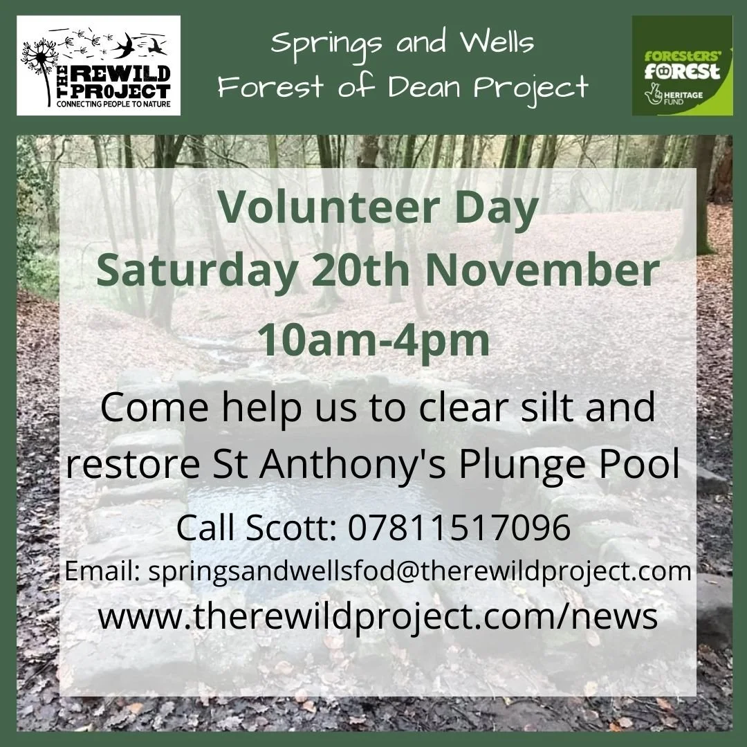 Volunteer Day @ St Anthony's Sat 20th November