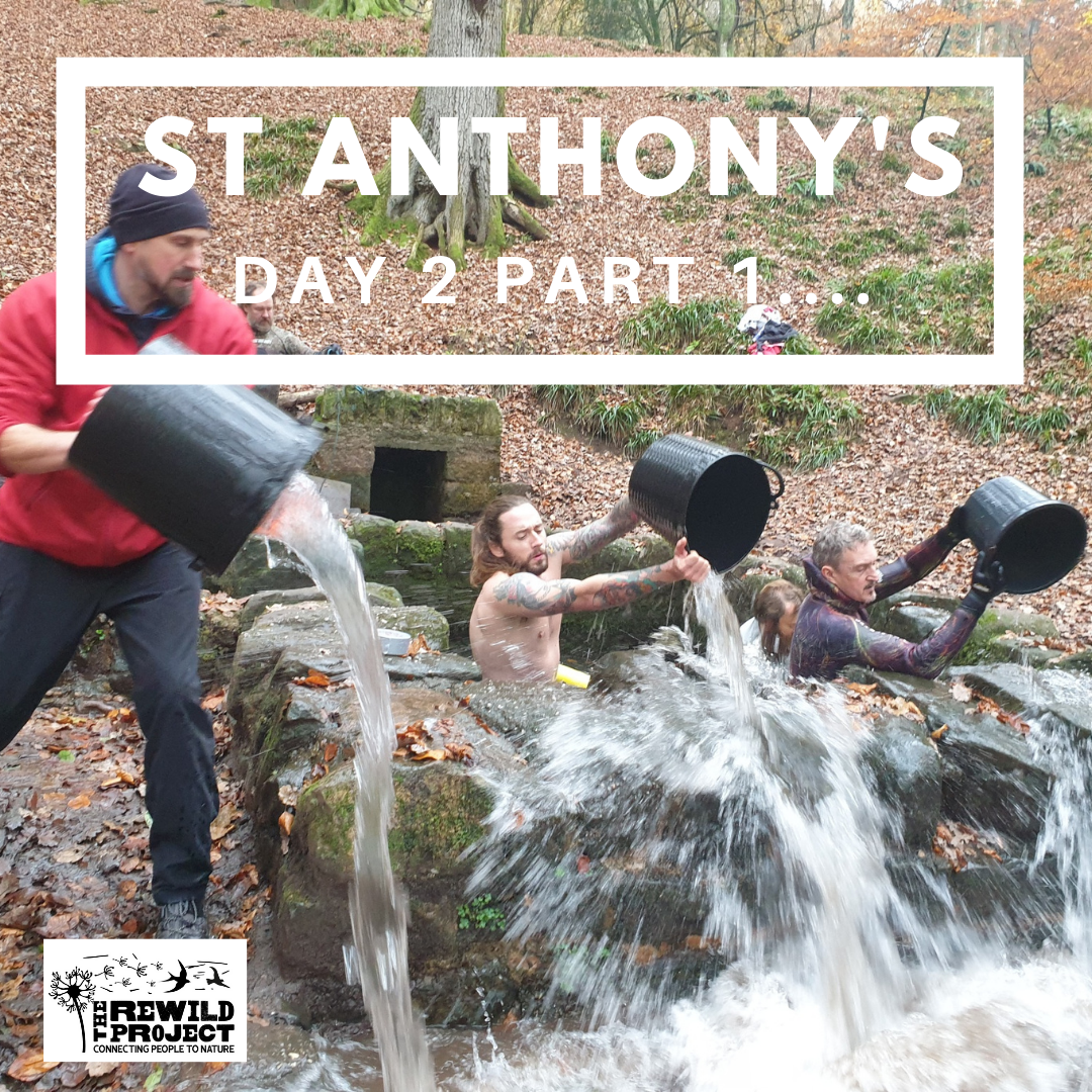 St Anthon's Day 2 part 1...