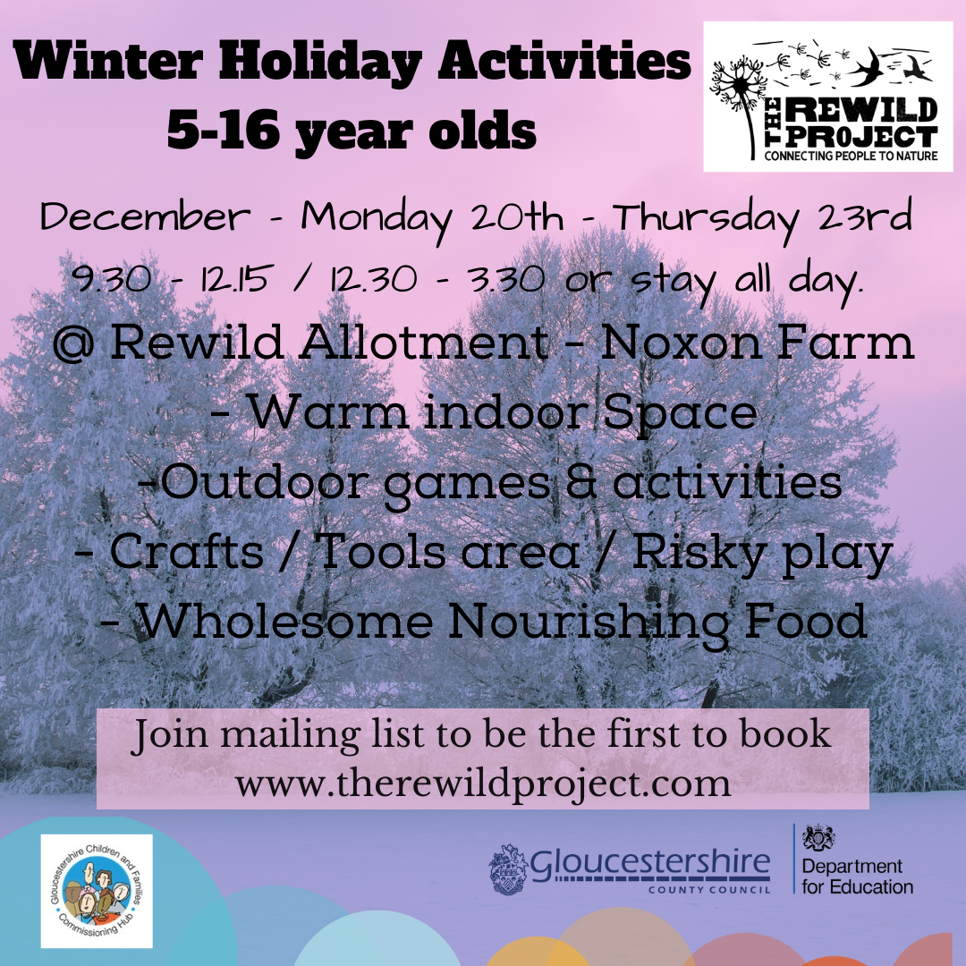 Winter Wildings Club Success all around!