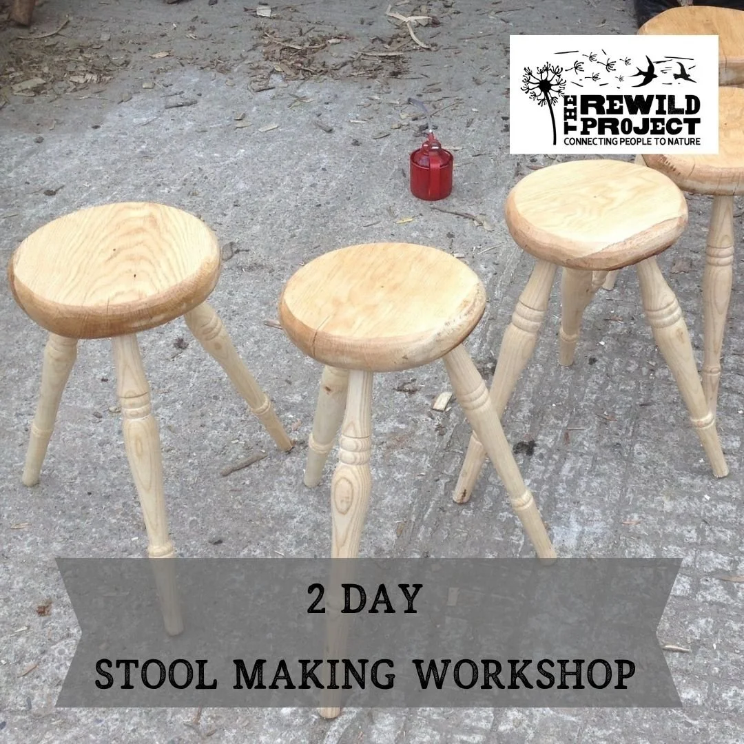 Greenwood Stool Making Two Day Course
