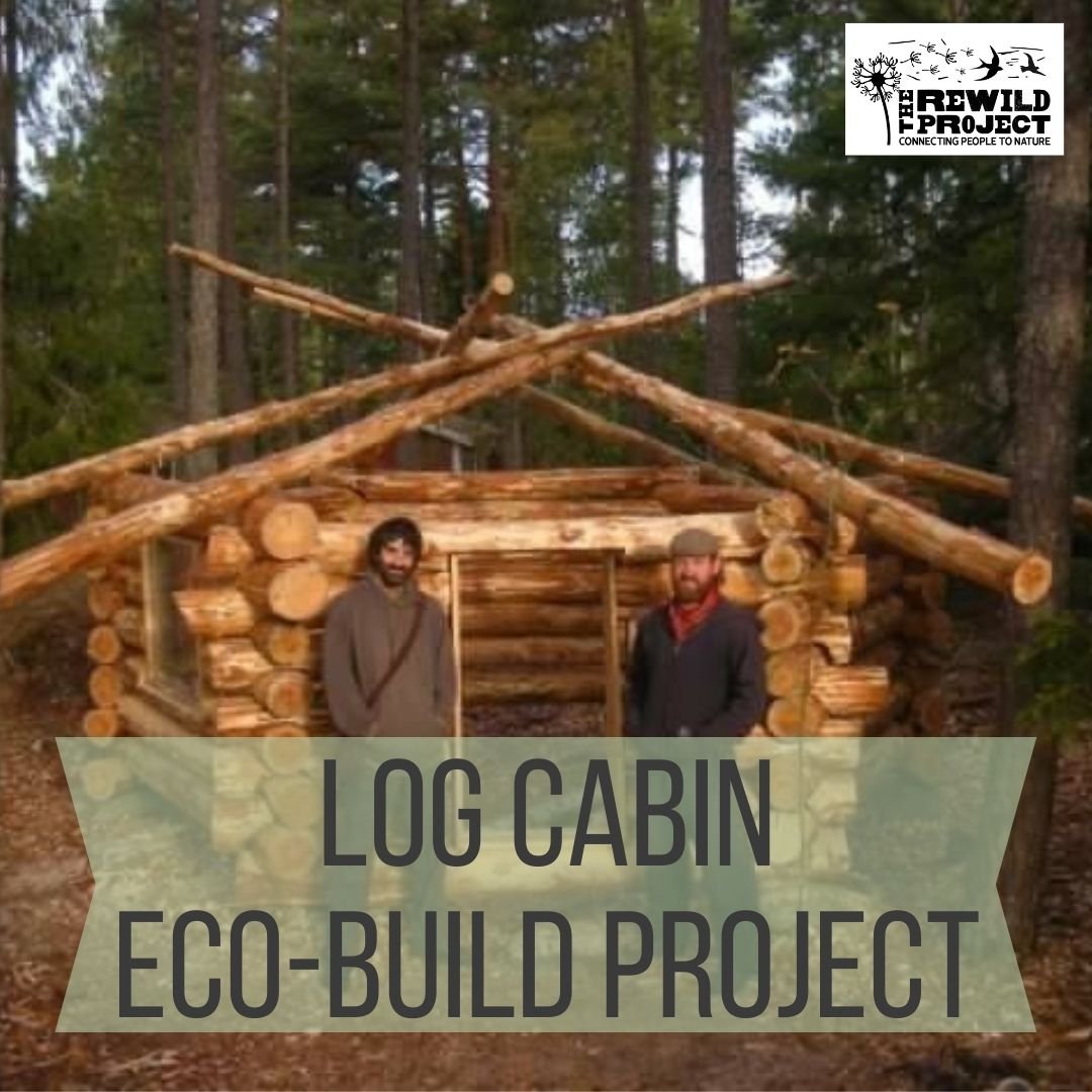 Log Cabin Build 2.jpg