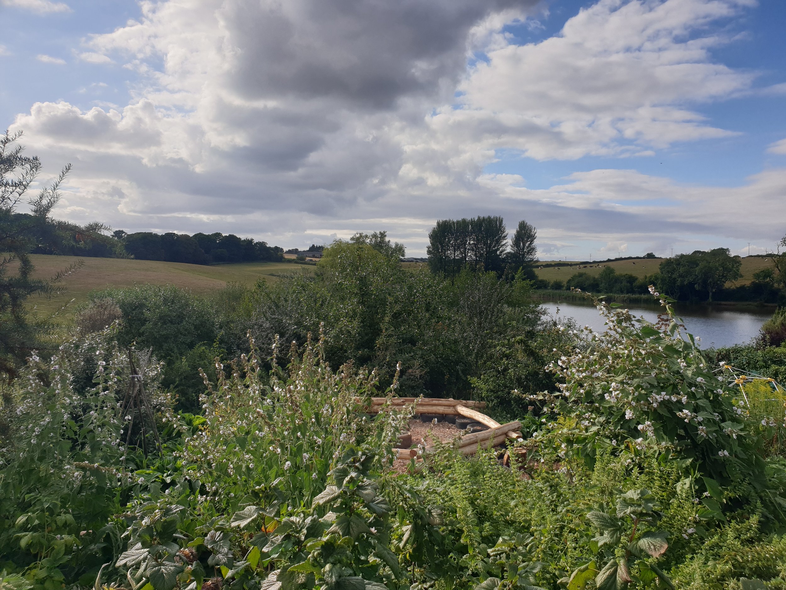 View across water.jpg