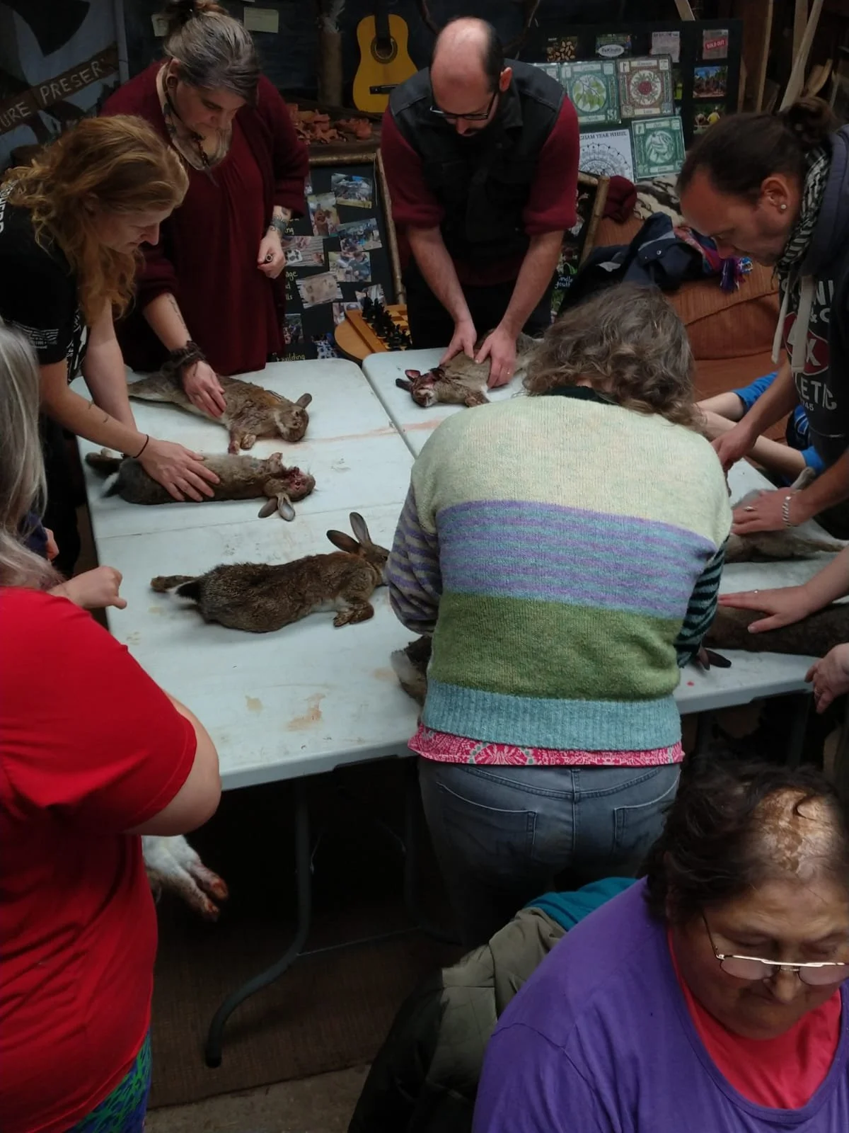 Rabbit Skin Bark Tanning 3 Week Evening Course — Radical Regenerative