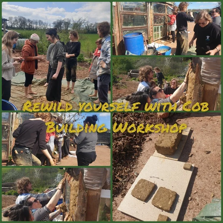 Introduction to Cob Building Workshop