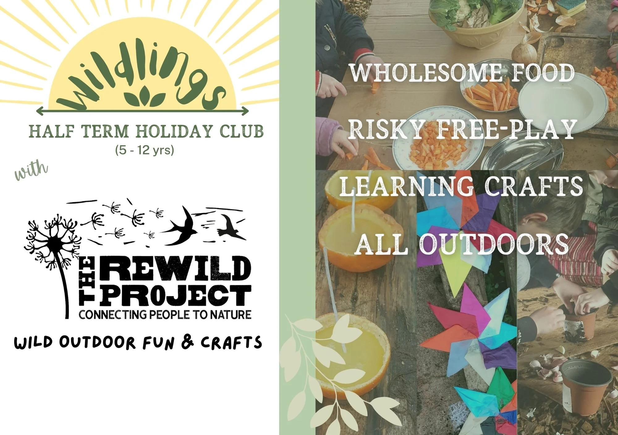 Wildlings Half Term Success