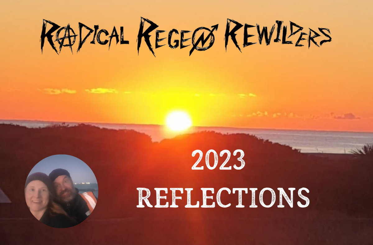 2023 Reflections