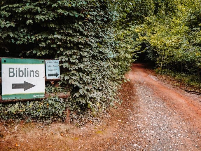 visit-king-arthurs-cave-wales-wye-valley-16-of-16-689x517.jpeg