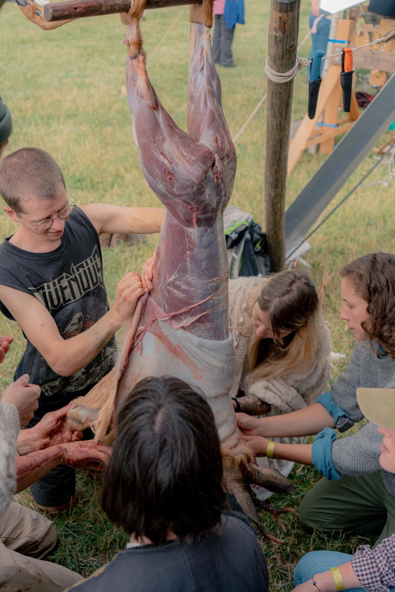 Wild Meat at Cae Mabon