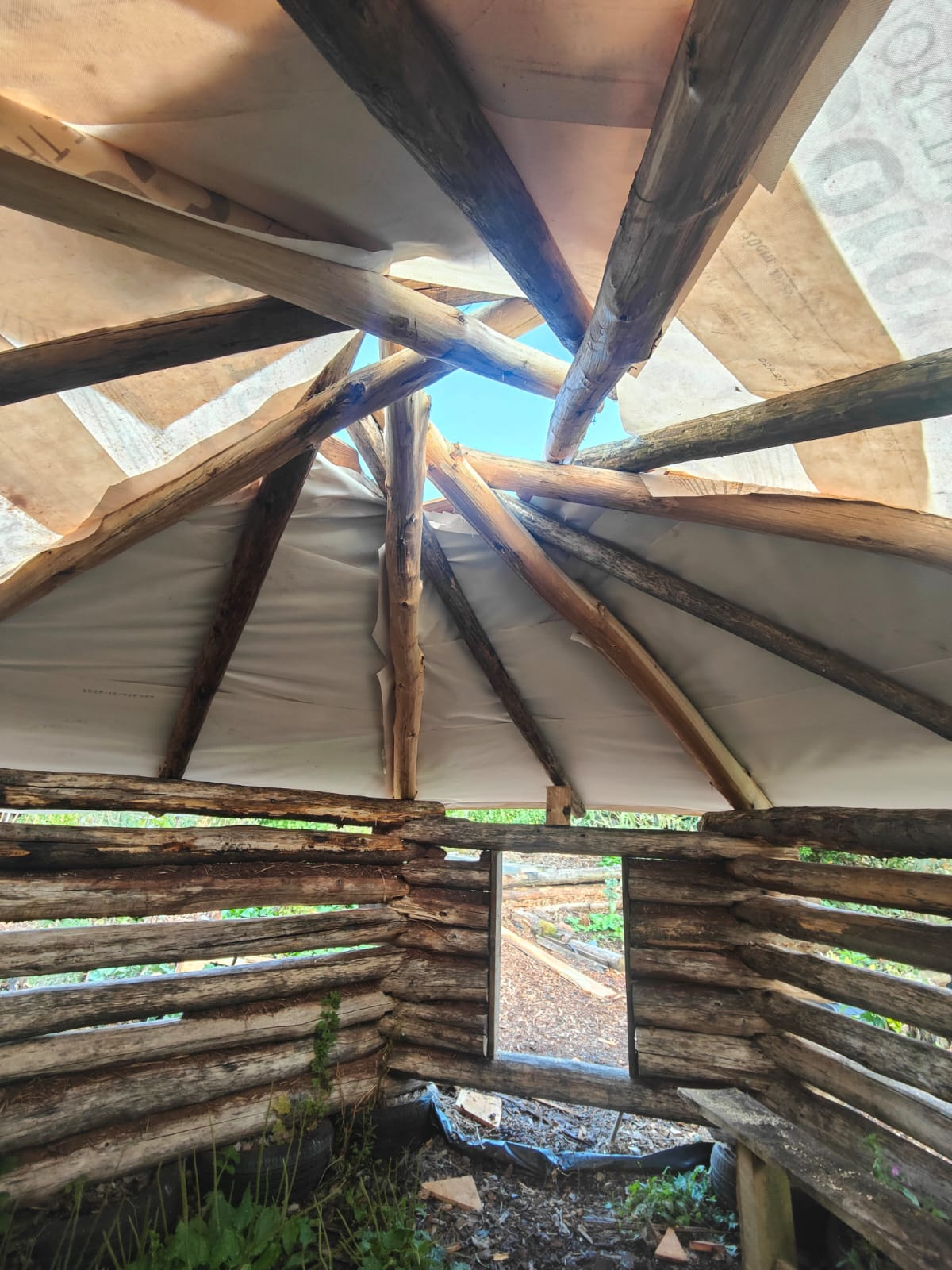 069ABA99-43CA-43FF-A547-E786A8BF1BA0.png
