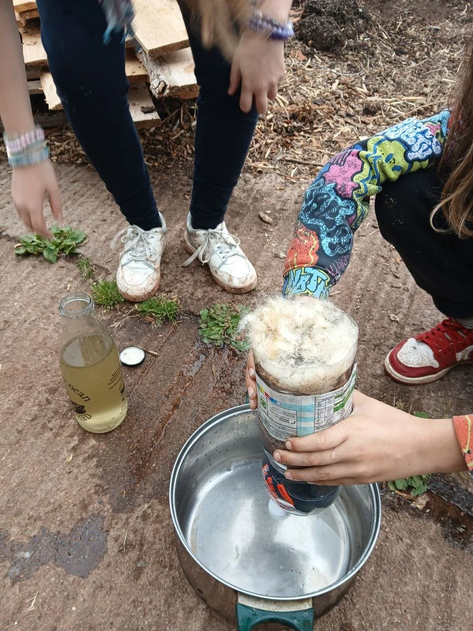 photo_2025-12-25 18.01.16.jpeg