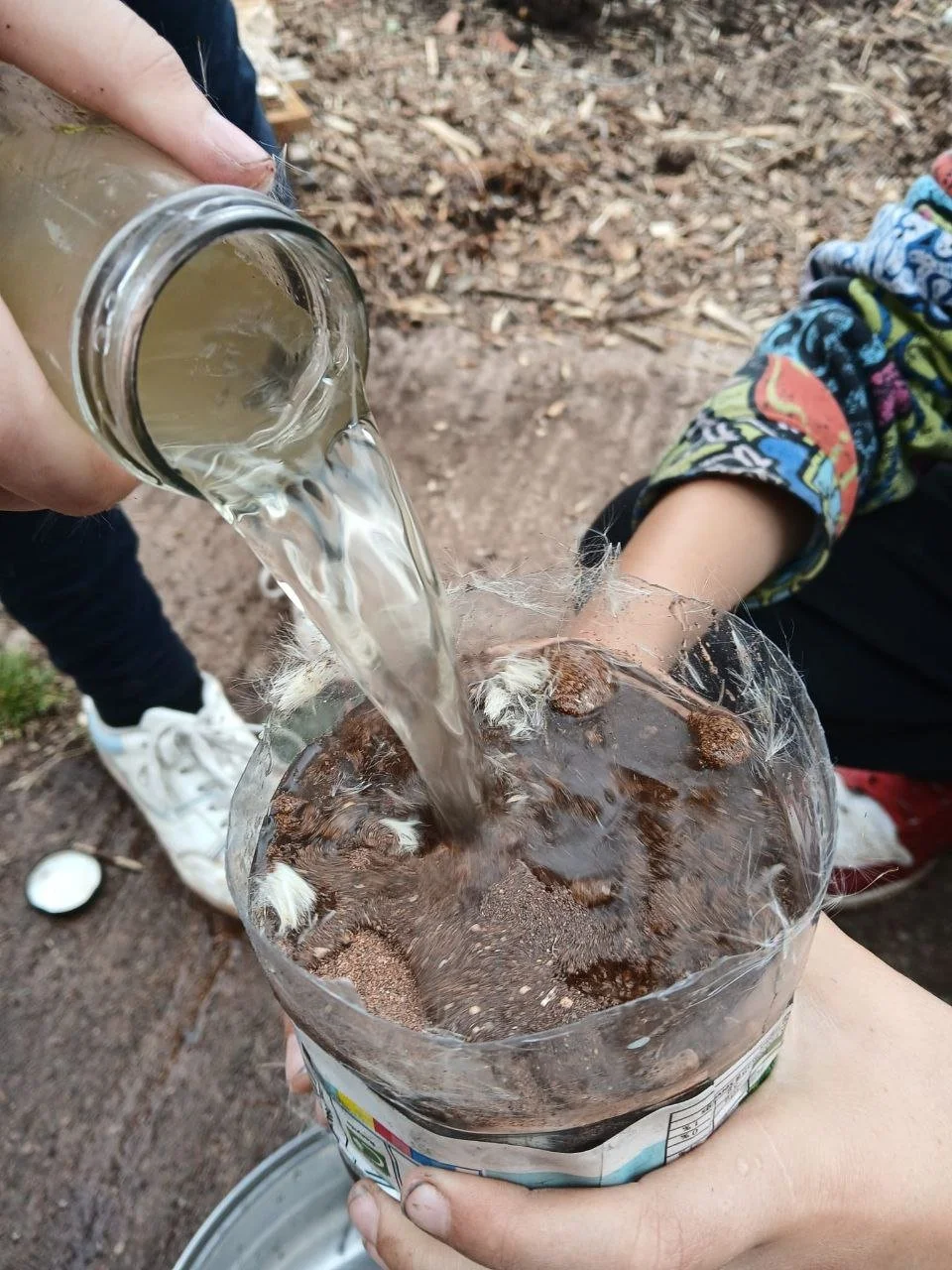 photo_2025-12-25 18.01.25.jpeg