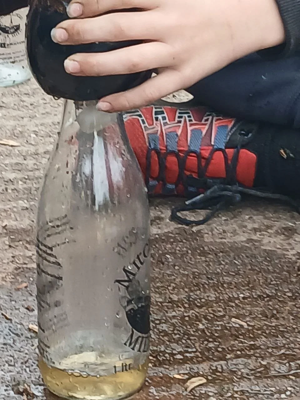 photo_2025-12-25 18.01.40.jpeg