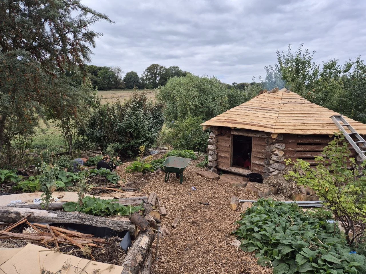 photo_2025-12-25 18.01.57.jpeg