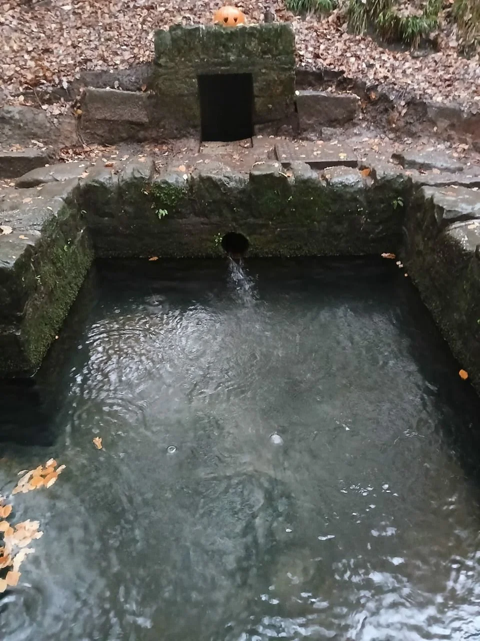 photo_2025-12-25 19.27.22.jpeg