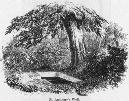 photo_2025-12-25 19.30.12.jpeg