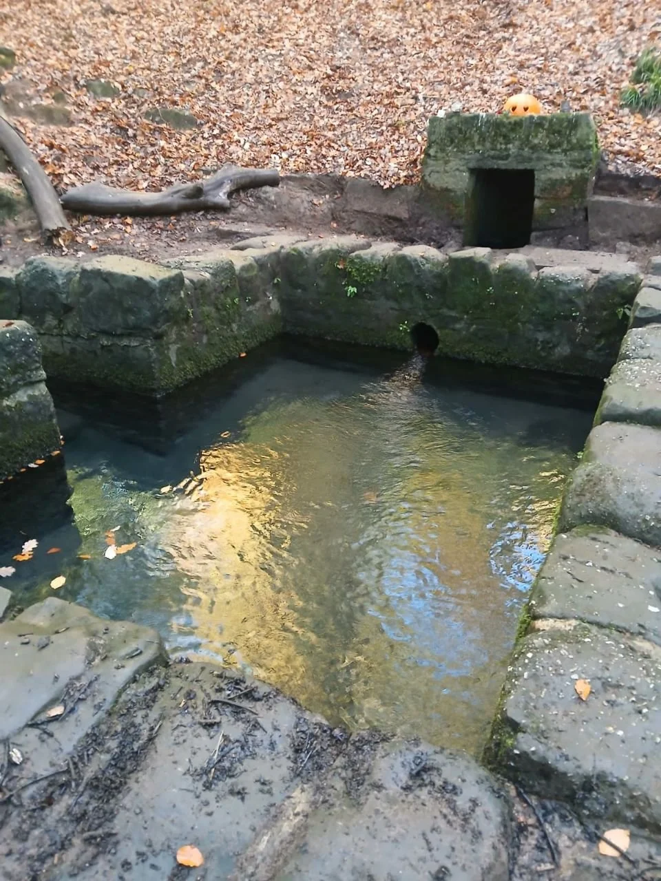 photo_2025-12-25 19.28.01.jpeg