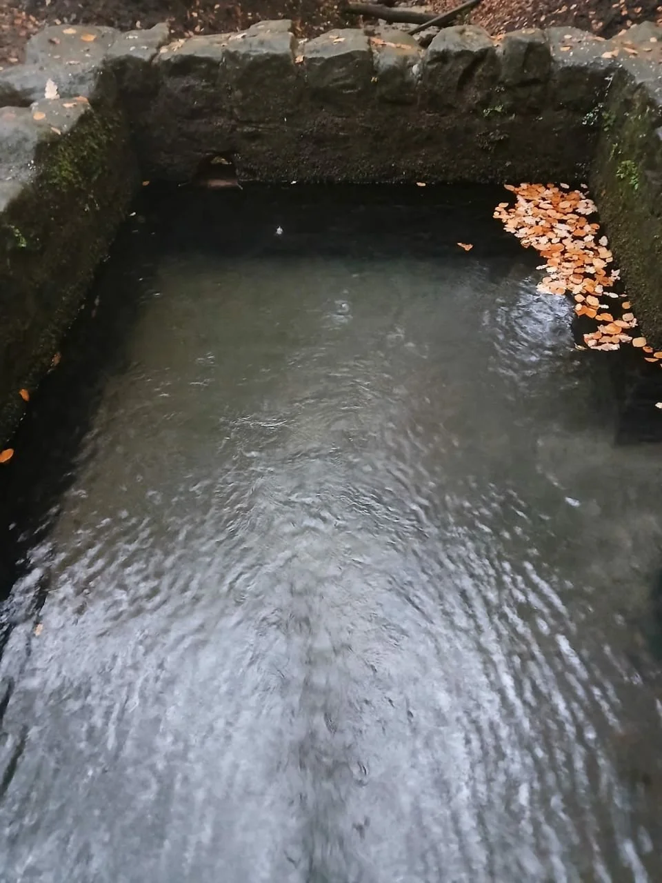 photo_2025-12-25 19.27.43.jpeg