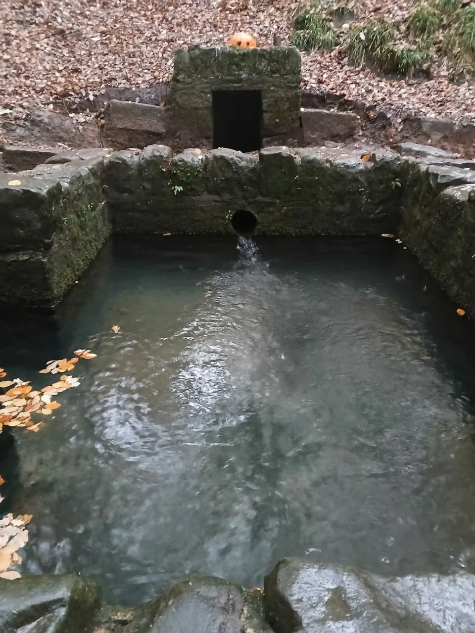 photo_2025-12-25 19.27.49.jpeg