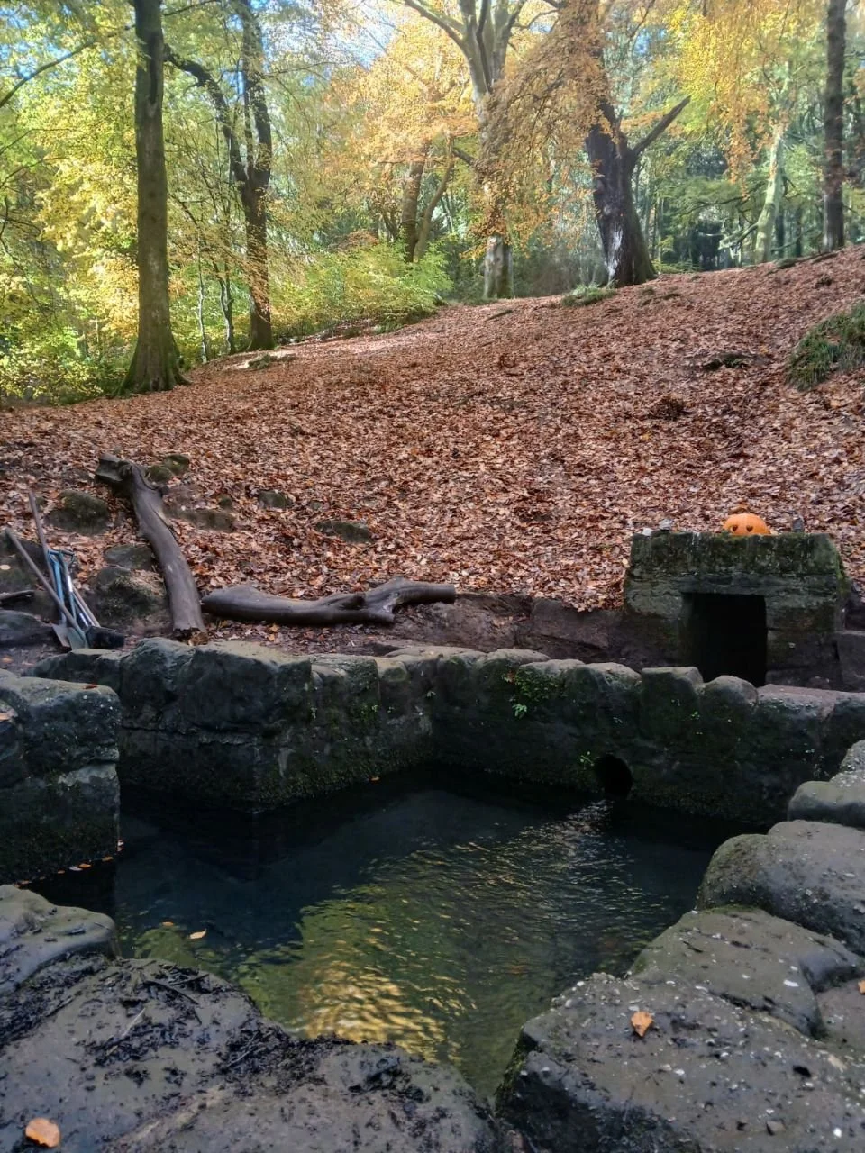 photo_2025-12-25 19.27.56.jpeg