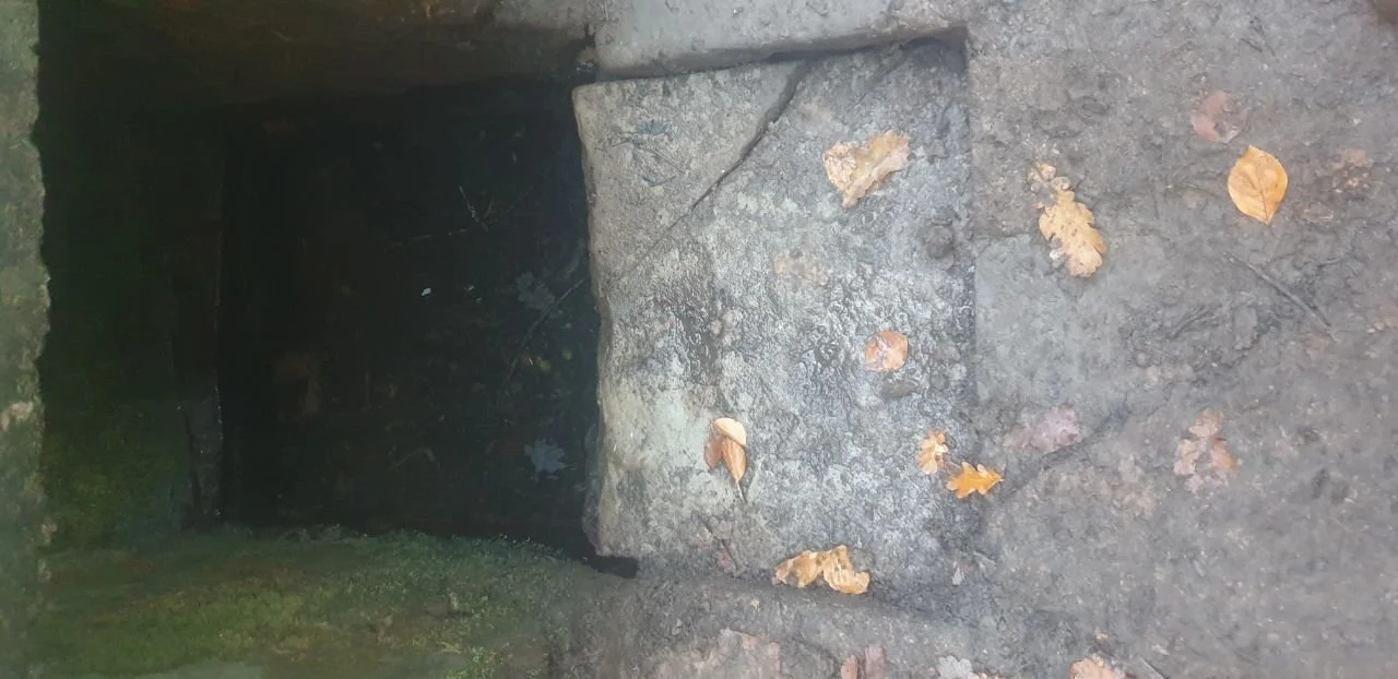 photo_2025-12-25 19.27.11.jpeg