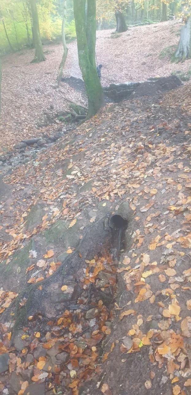 photo_2025-12-25 19.26.48.jpeg