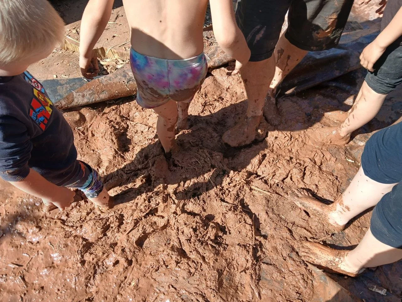 photo_2025-12-25 18.01.04.jpeg