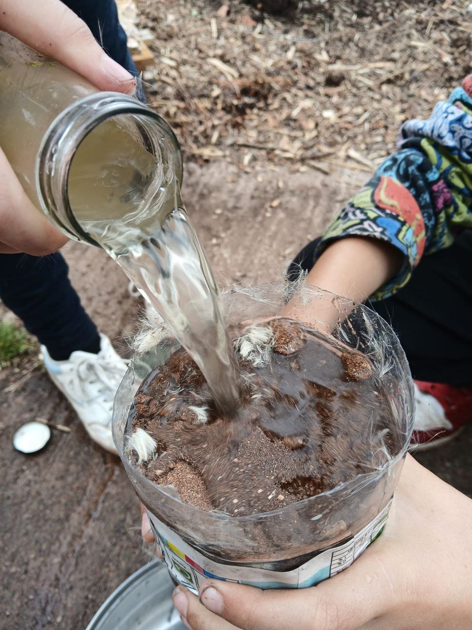 photo_2025-12-25 18.01.25.jpeg