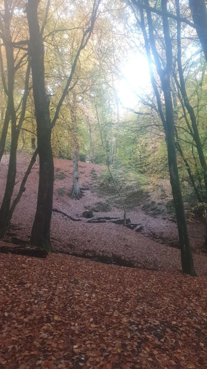 photo_2025-12-25 19.26.20.jpeg