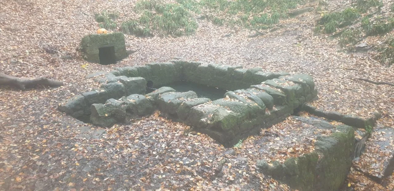 photo_2025-12-25 19.26.22.jpeg