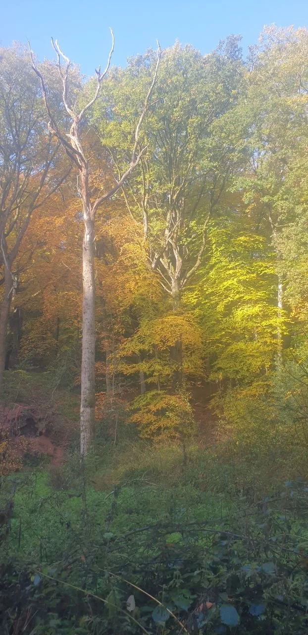 photo_2025-12-25 19.26.30.jpeg