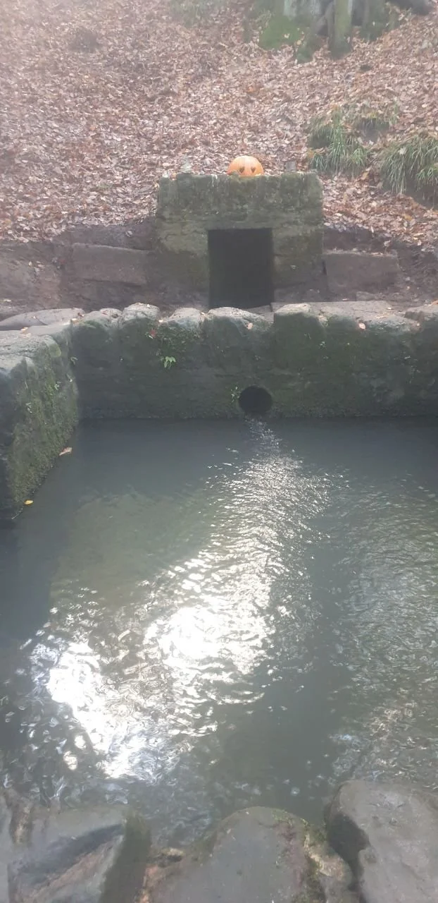 photo_2025-12-25 19.26.43.jpeg