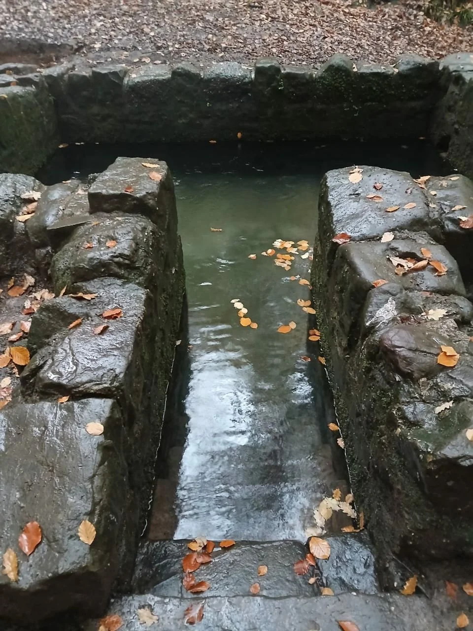 photo_2025-12-25 19.27.47.jpeg