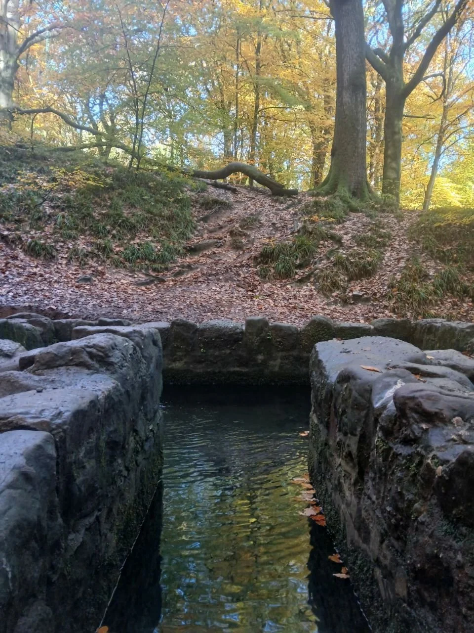 photo_2025-12-25 19.27.54.jpeg