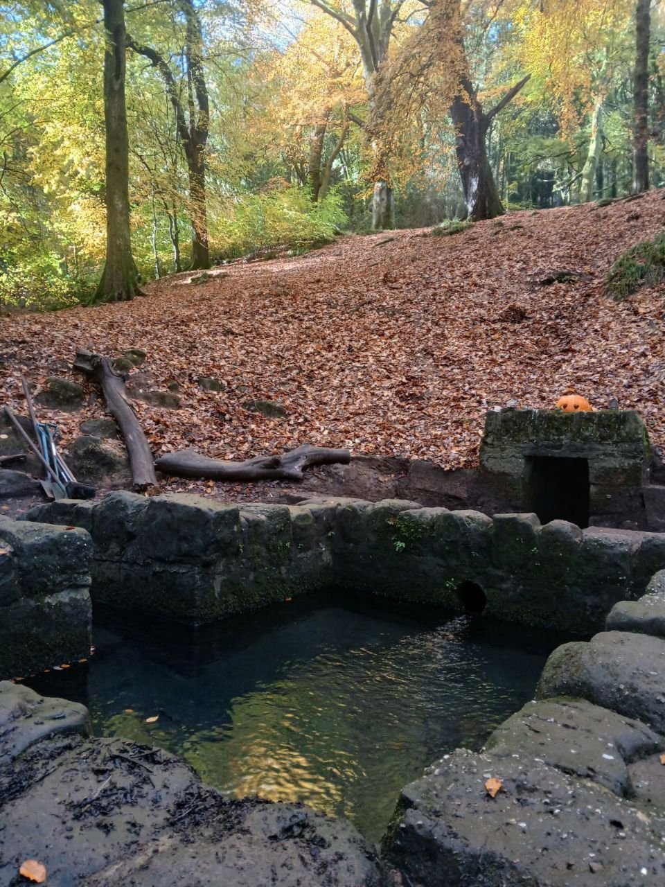 photo_2025-12-25 19.27.56.jpeg