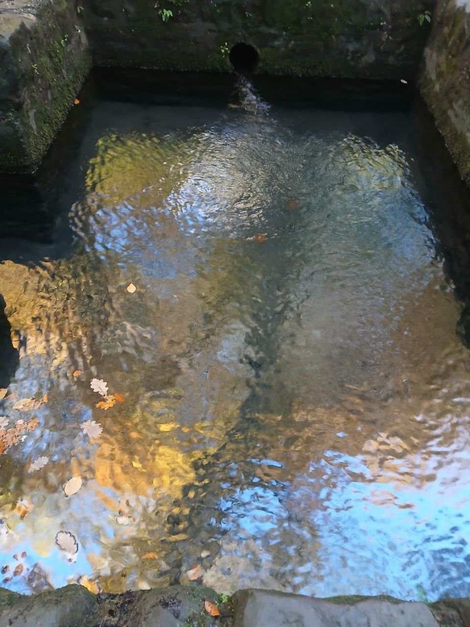 photo_2025-12-25 19.27.58.jpeg