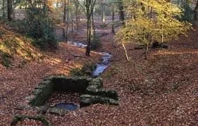 photo_2025-12-25 19.28.08.jpeg